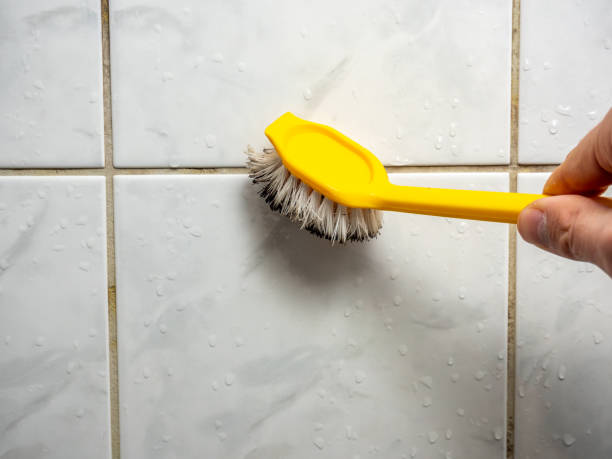 Best Mold Testing  in Maumee, OH